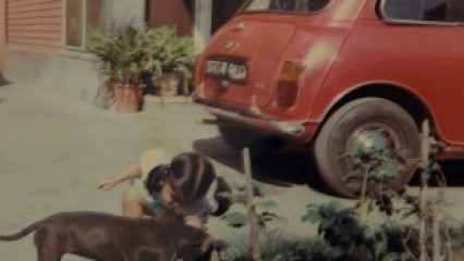 The lawn as the crown of the house